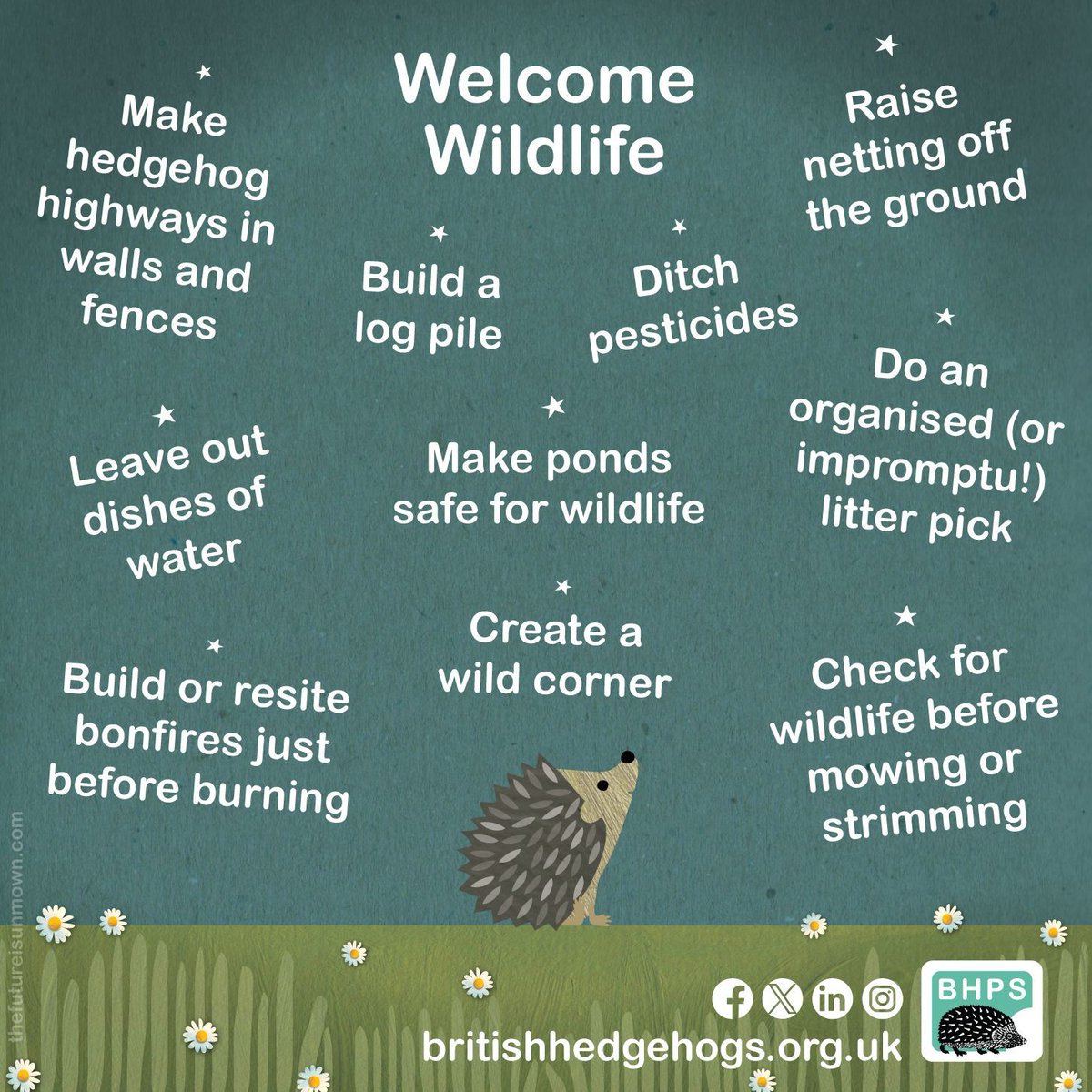 Today, we're reminding you to keep #hedgehogs in mind for the year ahead - there's loads we can do to help our spiky friends out!

From adding #wildlife-friendly features to your garden to spreading the word in your neighbourhood!

#MondayMotivation