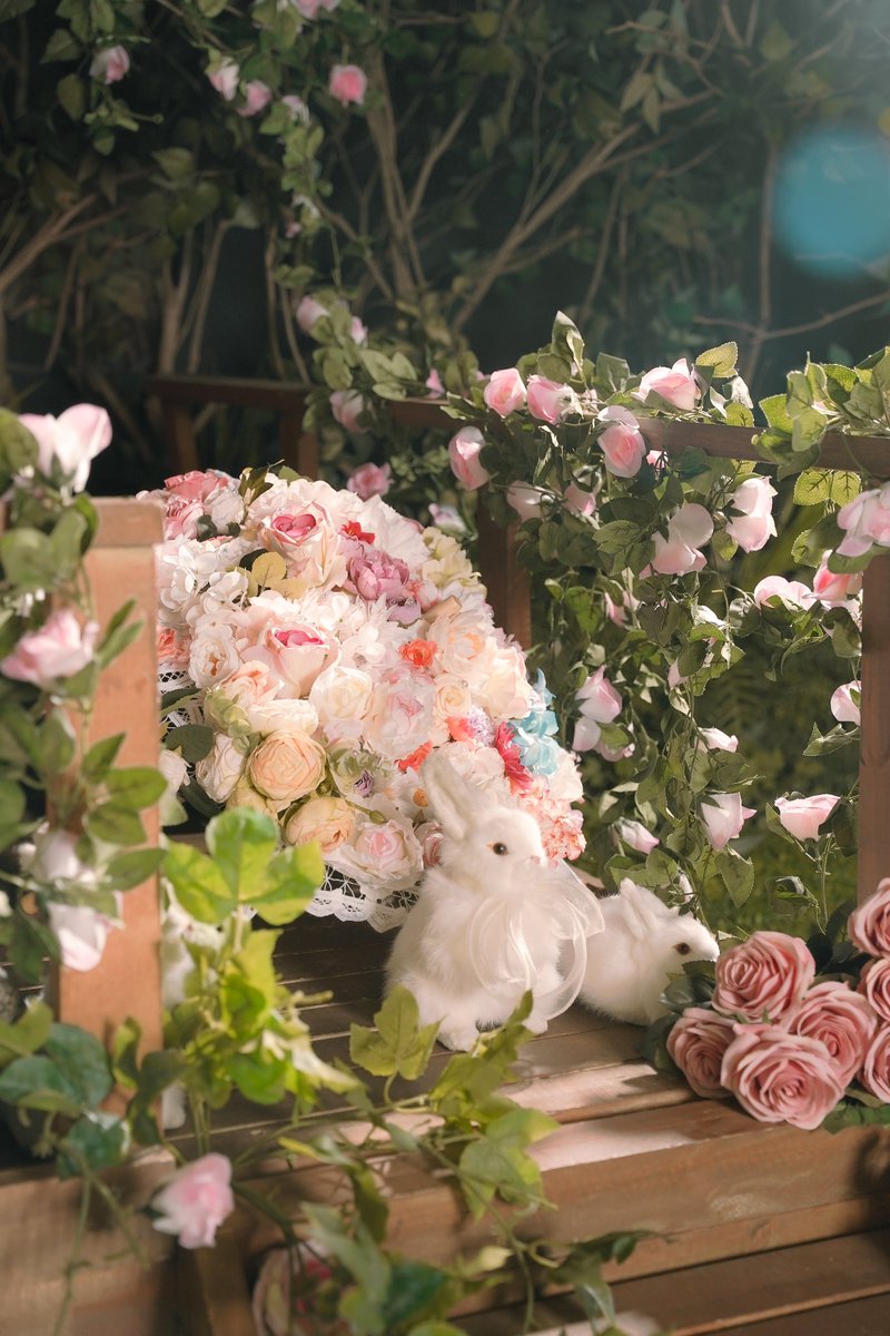 A룸 루닉스 비밀의 숲 RT 이벤트✨

기간 :  A룸 3월 1일~6월 30일

장소 : A룸 

✨본 게시물 RT+루닉스 계정 팔로우✨해주시면 추첨을 통해 한분께 ✨2시간 무료 이용권✨을 보내드립니다✨

* 사과나무 숲도 함께 6월 30일까지 연장되었습니다✨

바로 예약 가능합니다🐺