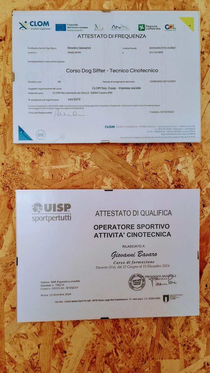 giodogsitter's tweet photo. Manca quello più importante Educatore Cinofilo🙂🐕‍🦺🐶🐕 lo metteremo per fine anno 💪 corso iniziato😃

#giodogsitter #operatorecinofilo #pensionepercani #happydog #dogsitter #varese #gorlamaggiore https://t.co/ZS3fkIQbtI