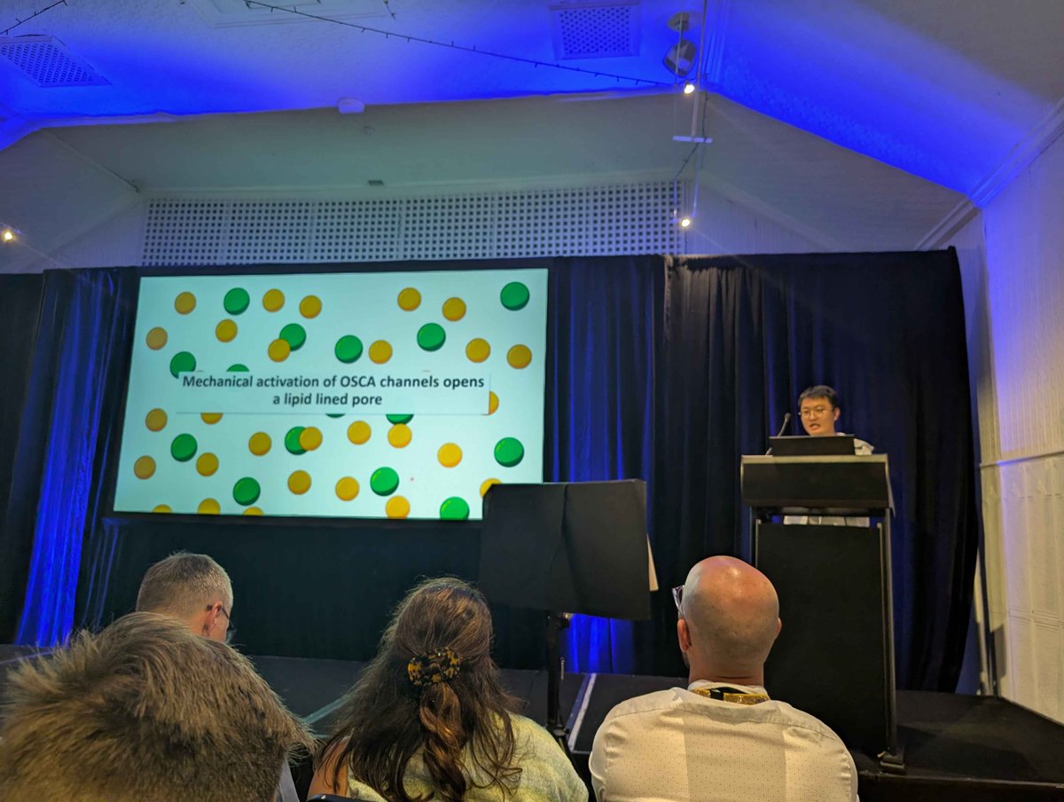 Corry Lab (@corrylab) on Twitter photo Big congratulations to <a href="/Riottowow/">Ruitao Jin 金瑞涛</a> for winning an Anders Early Career Award at <a href="/LorneProteins/">Lorne Proteins</a> #lorneproteins2025 ! Presenting his work on the lipid lined pore of the OSCA mechanosensitive channel. Big congratulations to <a href="/Riottowow/">Ruitao Jin 金瑞涛</a> for winning an Anders Early Career Award at <a href="/LorneProteins/">Lorne Proteins</a> #lorneproteins2025 ! Presenting his work on the lipid lined pore of the OSCA mechanosensitive channel.