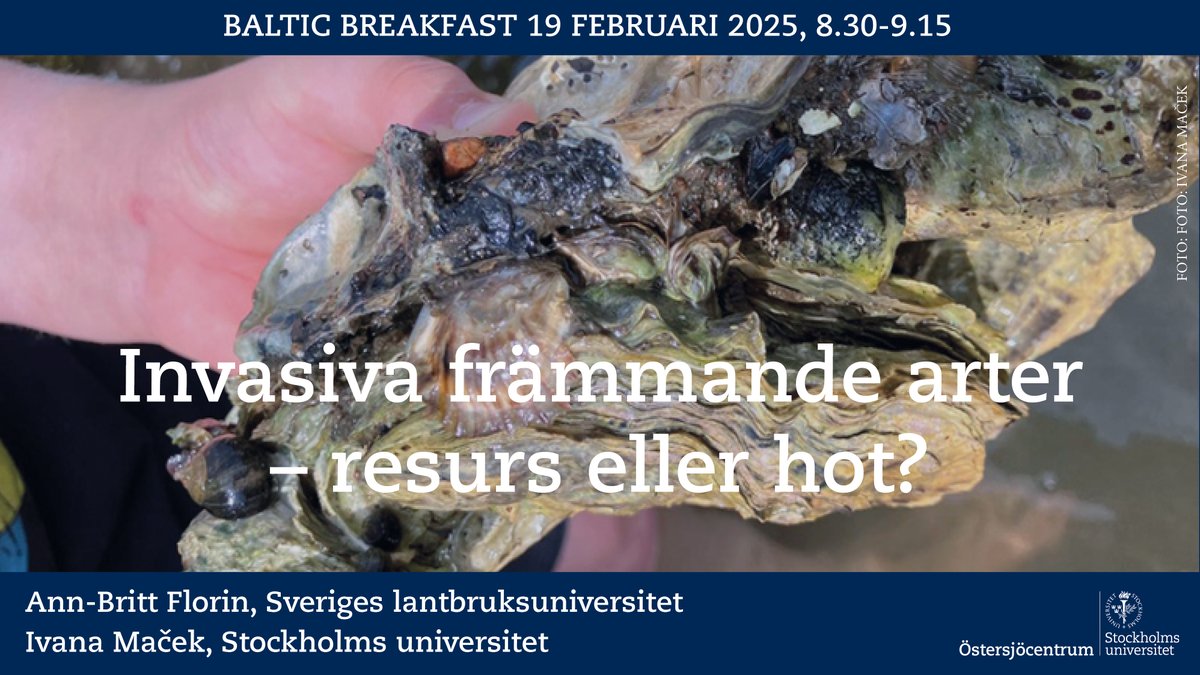 Invasiva främmande arter – resurs eller hot? Det är titeln på nästa veckas #BalticBreakfast där Ann-Britt Florin <a href="/SLU_aqua/">SLU Aqua</a> @_SLU &amp; Ivana Maček <a href="/Stockholms_univ/">Stockholms universitet</a> medverkar. Bl a handlar det om svartmunnad smörbult och stillahavsostron. Mer info och anmälan: su.se/stockholms-uni…