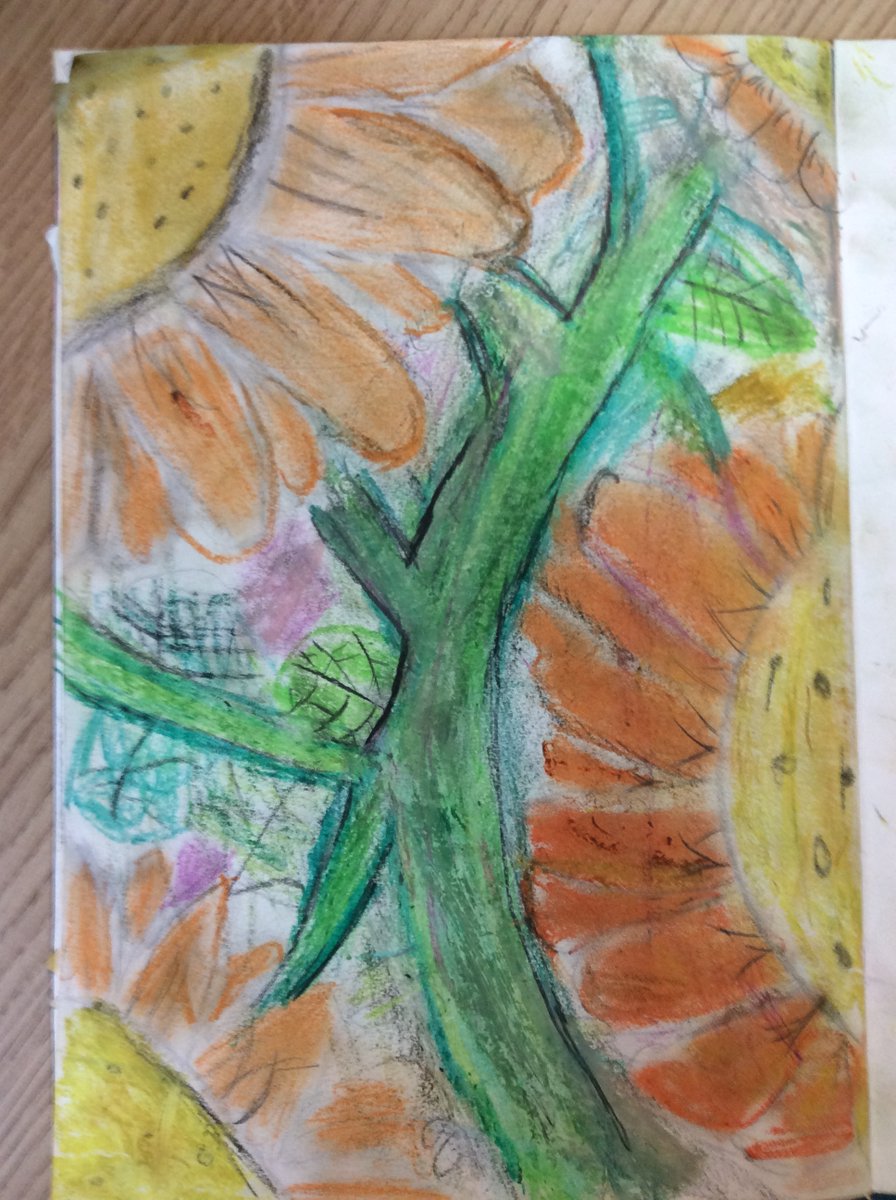 Superb art work from Y3&amp;4 children today.