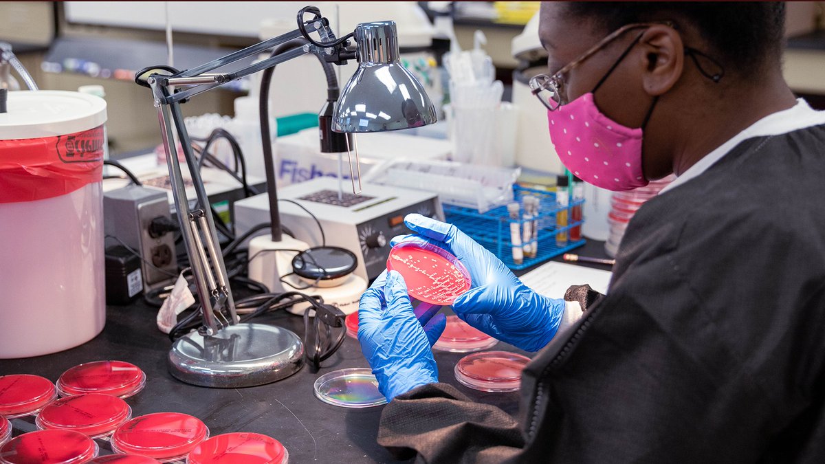 Students interested in learning more about the WVU School of Medicine’s Medical Laboratory Science (MLS) Master’s degree are invited to attend a virtual open house on February 27 at 4 pm via Zoom.

Learn more and register: medicine.hsc.wvu.edu/news/story?hea…