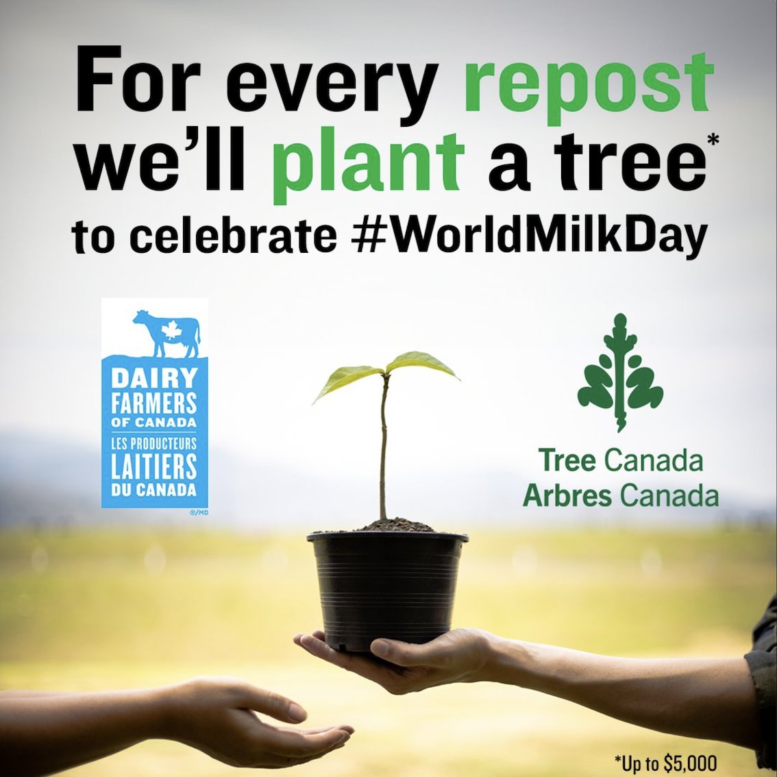 🌍🥛 #WorldMilkDay: A global moment to celebrate how dairy not only powers healthy diets but also supports livelihoods around the world.

Last year, <a href="/dfc_plc/">DFC / PLC</a> teamed up with <a href="/TreeCanada/">Tree Canada</a>, planting a tree for every repost. 🌱

How are you planning to celebrate #WorldMilkDay 2025?