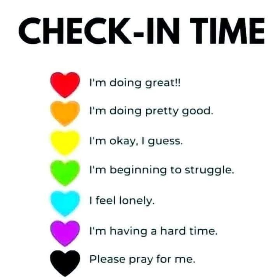 ✨️🌛Fenris Wolfmom🌜✨️ tweet media