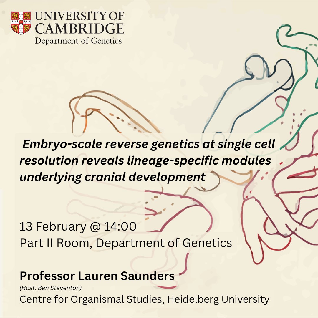 GeneticsCambridge (@geneticscam) on Twitter photo This Thursday, we are delighted to welcome <a href="/LSaund11/">Lauren Saunders</a> as part of our Genetics Seminar Series.
🎙️Embryo-scale reverse genetics at single cell resolution
🗓️ Thursday 13 February
🕑 2 - 3pm
📍Biffen Lecture Theatre, Downing Site This Thursday, we are delighted to welcome <a href="/LSaund11/">Lauren Saunders</a> as part of our Genetics Seminar Series.
🎙️Embryo-scale reverse genetics at single cell resolution
🗓️ Thursday 13 February
🕑 2 - 3pm
📍Biffen Lecture Theatre, Downing Site