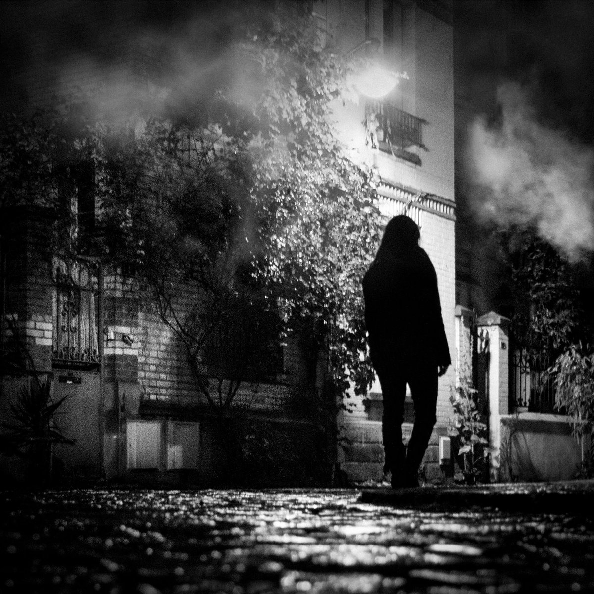 "But lost chances are as much a part of life as chances taken, and a
story cannot dwell on what might have been."

Paul Auster / The New York Trilogy

📷'Les passantes series'
Mila Plum