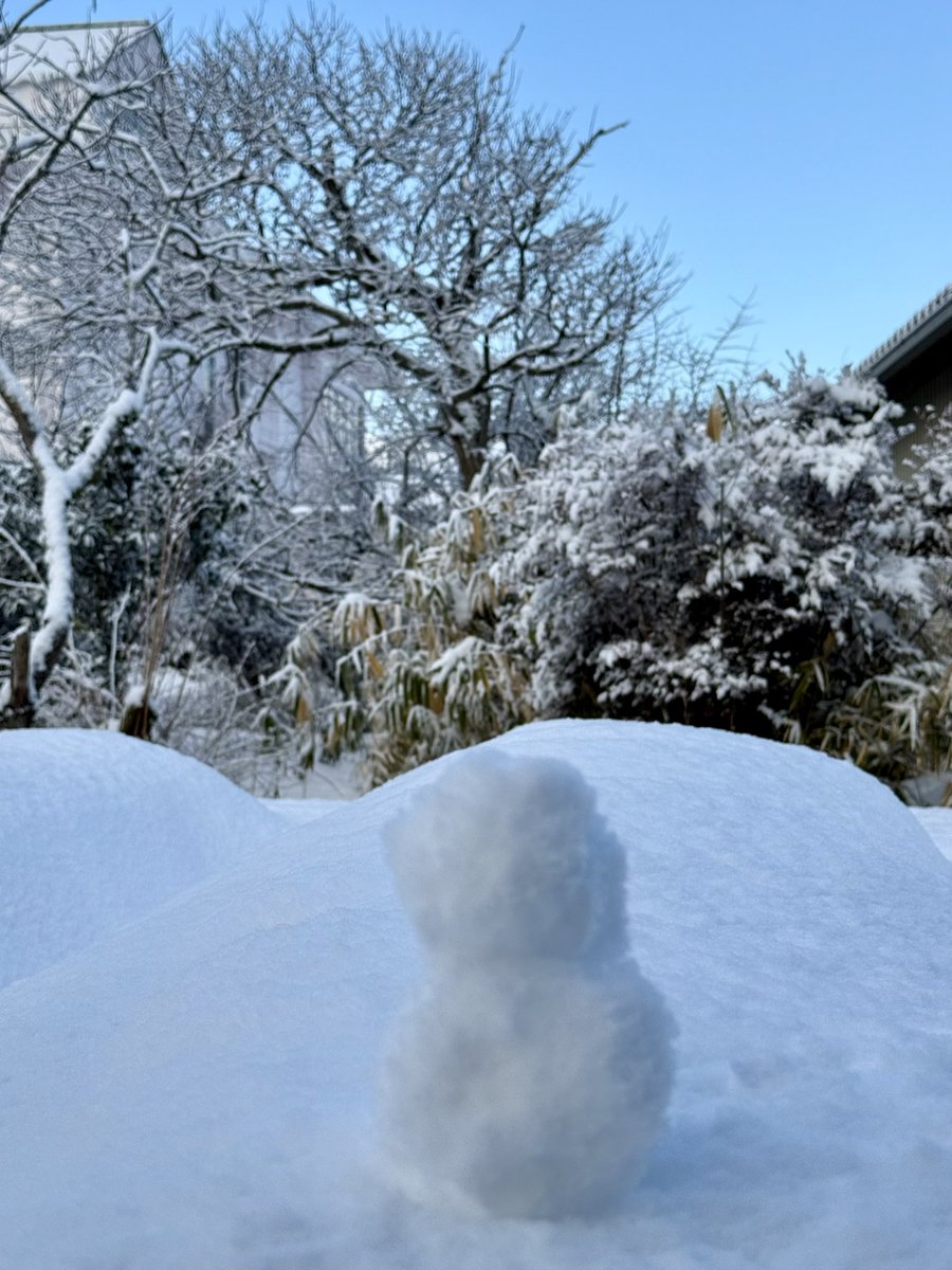 tanpanpan's tweet photo. もう溶けちゃった❄️ https://t.co/C9uR8DzJBf