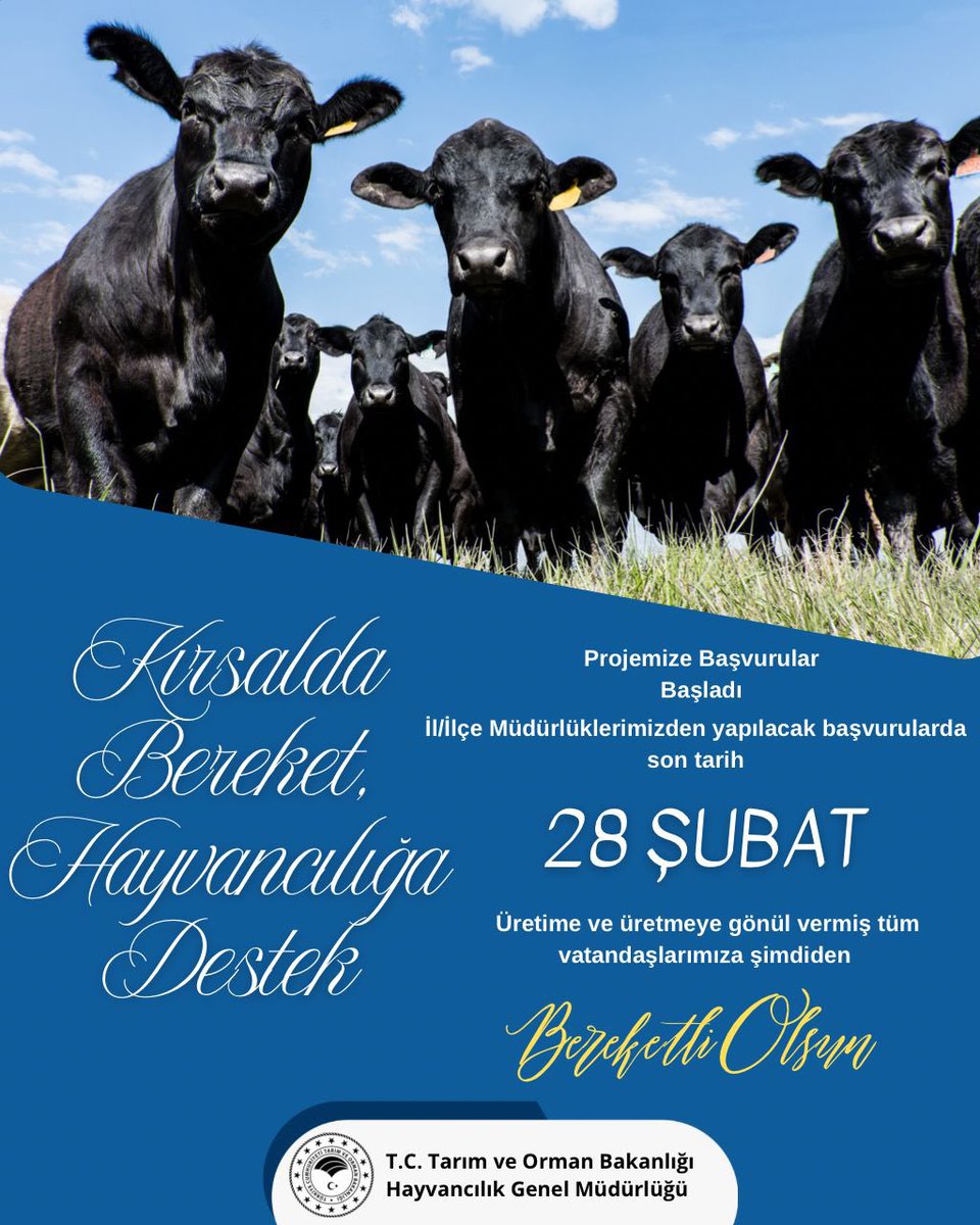 TR_HAYGEM's tweet photo. "Kırsalda Bereket Hayvancılığa Destek" projemize başvurular başladı.

İl/İlçe Müdürlüklerimizden yapılacak başvurularda son tarih

📆 28 Şubat Cuma

Üretime ve üretmeye gönül vermiş tüm vatandaşlarımıza şimdiden bereketli olsun.

@TCTarim 
@ibrahimyumakli 
@AhmetGumen https://t.co/sYU6ZFhLuw