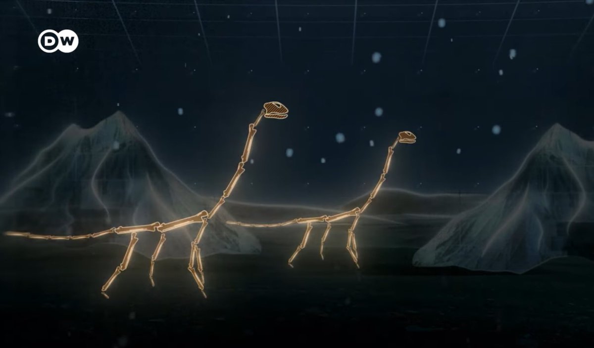 These sauropod skeletals are sending me 😭