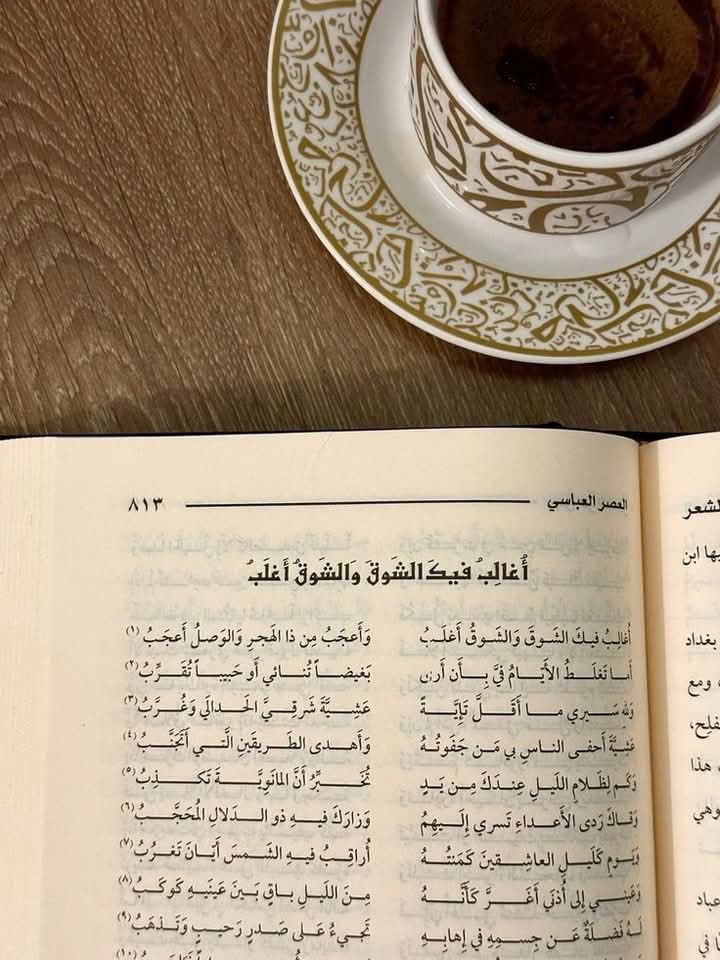 - المتنبّي.