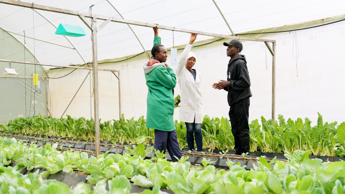 SOS Children's Villages International tweet media