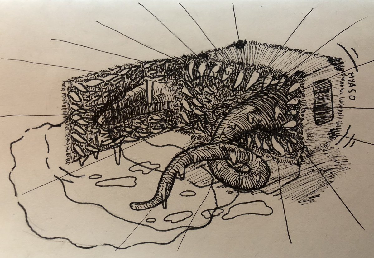 cloudymushro0om's tweet photo. I made a microwave mimic

#monsterdesign #inkdrawing https://t.co/SX5DTpUMCC