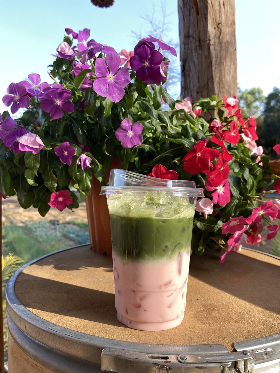 เอาใจลูกค้าเดือนแห่งความรัก มมัจฉะ Strawberry Amaou  Oatmilk ]] 

#บ่อแก้วคาเฟ่

#ชุมชนบ่อแก้วหมู่บ้านเกษตรอินทรีย์

#ต่ายอรนุช