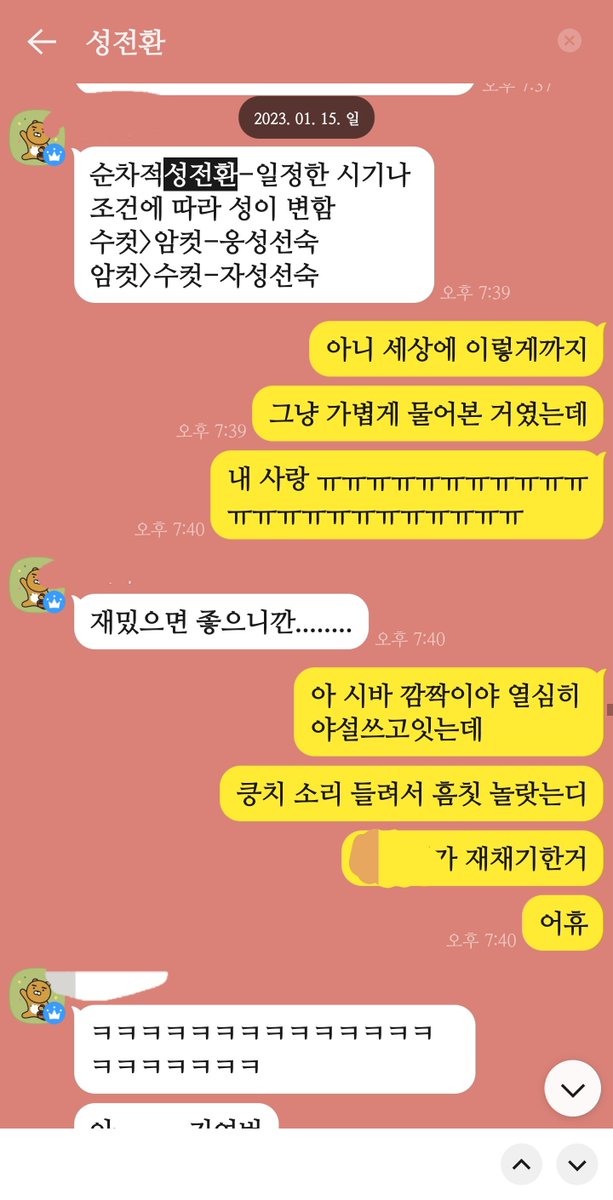 hang_100's tweet photo. 제가 서열 마운팅 글을 쓸 당시 지인과 카톡한 내용입니다. (알파->오메가 성전환 내용 서술을 목적으로 카톡을 나누었으나 정력 딸려서 드랍함) 

사과 안 하실 거죠? 각자 가던 길 갑시다. 대화 더 하실 거면 객관적 증빙 가져와주시길 바랍니다. https://t.co/tpQojITqDr