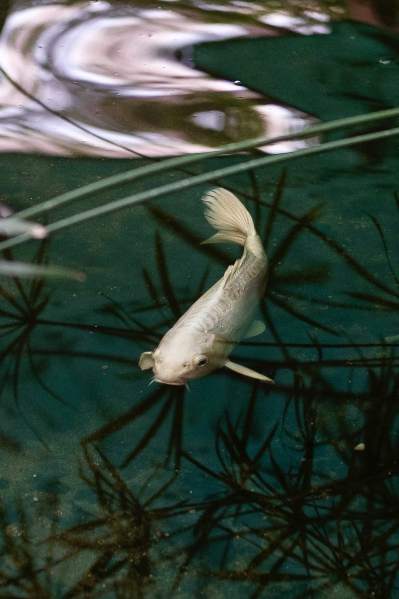 Colour in photography