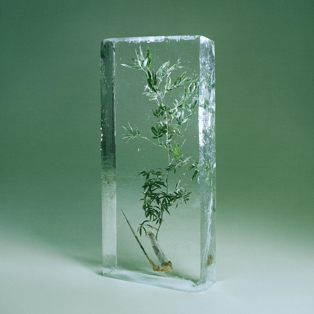 8AM_Creative's tweet photo. "Transparency." A word to the wise: If anybody, be it head of a department or head of state, starts a sentence with "We want to be fully transparent." There's a good chance they're about to feed you a bunch of shit. This opposite-of-shit #moodboardmonday was assembled by Kelsie. https://t.co/hNNkOdg6oh