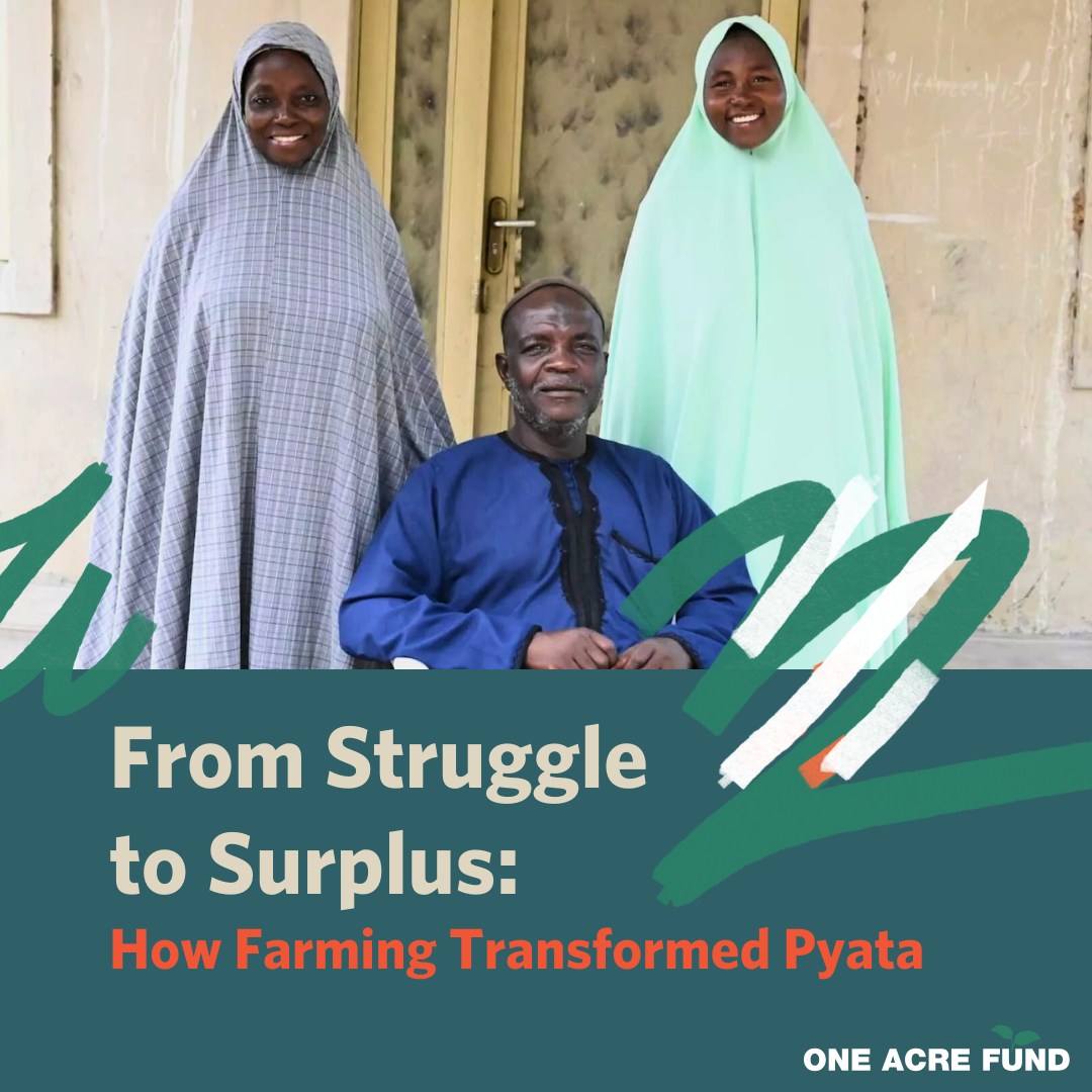 OneAcreFund_NG's tweet image. "Thanks to One Acre Fund, I can now support my family with my farm." – Alhaji Ibrahim Umar.

Five years ago, low yields, pests &amp;amp; lack of quality inputs made farming in Pyata, 🇳🇬 a struggle. But Alhaji took a chance on #OneAcreFund, and everything changed.

#FarmersFirst