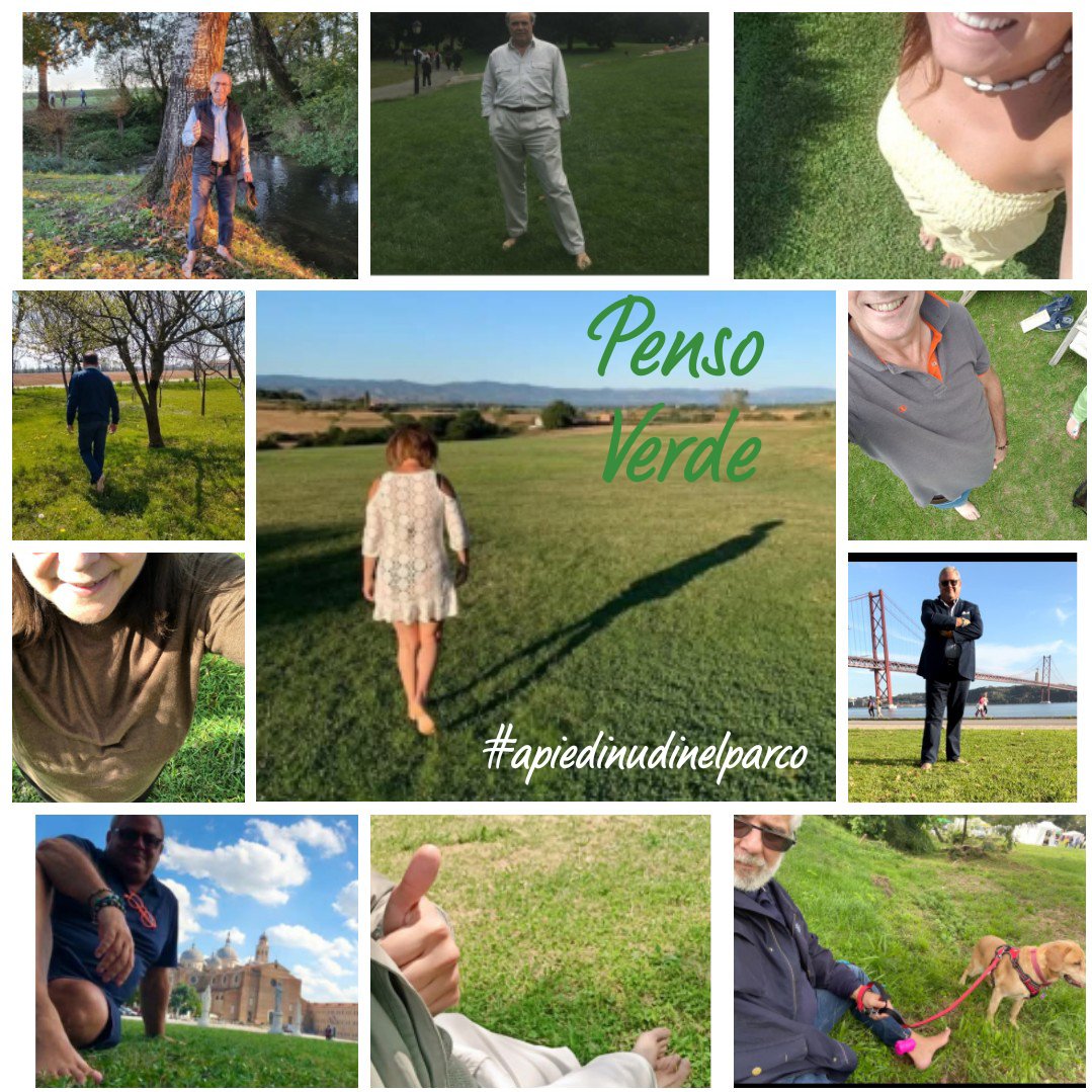 lore_apiedinudi's tweet photo. L'iniziativa fotografica per difendere il verde pubblico continuerร anche quest'anno. Vi aspetto in primavera con nuovi fantastici spazi verdi da immortalare per poter spargere il buon esempio di cura e manutenzione. #PensoVerde https://t.co/Cq4h2PEpjO