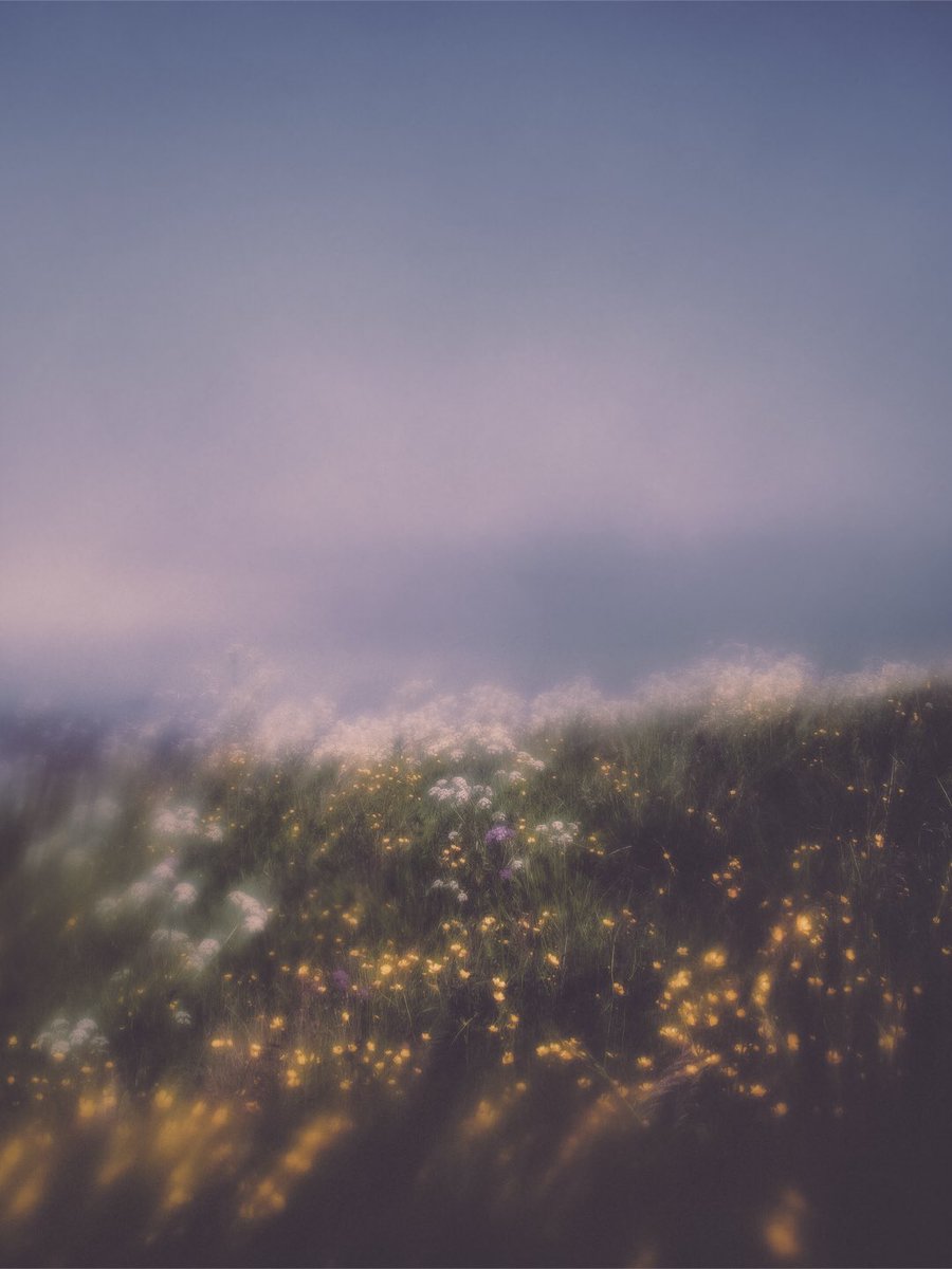 Thaddäus tweet media