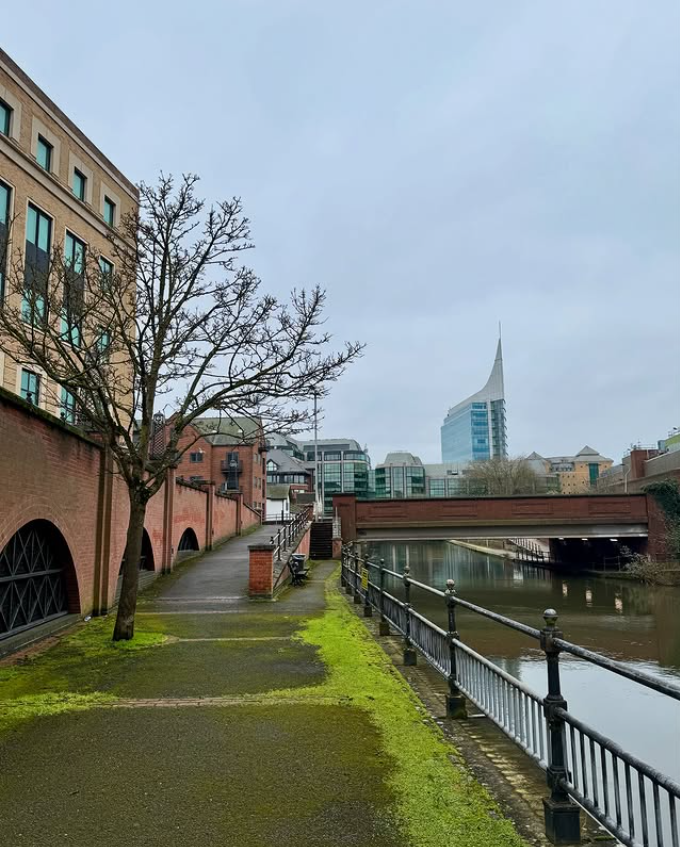 Total Reading tweet media