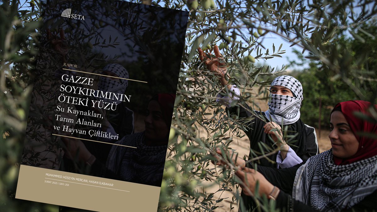 SETA (@setavakfi) on Twitter photo 📑 Gazze Soykırımının Öteki Yüzü | Su Kaynakları, Tarım Alanları ve Hayvan Çiftlikleri 🇵🇸
📥 Çalışmayı inceleyebilir, #PDF sürümünü indirebilirsiniz 🔗 setav.org/rapor/gazze-so… #israil #Gazze #Filistin <a href="/mercanmh/">Muhammed Hüseyin Mercan</a> <a href="/ilkbaharhsn/">Hasan İlkbahar</a> | 🖊 Muhammed Hüseyin Mercan, Hasan İlkbahar 📑 Gazze Soykırımının Öteki Yüzü | Su Kaynakları, Tarım Alanları ve Hayvan Çiftlikleri 🇵🇸
📥 Çalışmayı inceleyebilir, #PDF sürümünü indirebilirsiniz 🔗 setav.org/rapor/gazze-so… #israil #Gazze #Filistin <a href="/mercanmh/">Muhammed Hüseyin Mercan</a> <a href="/ilkbaharhsn/">Hasan İlkbahar</a> | 🖊 Muhammed Hüseyin Mercan, Hasan İlkbahar