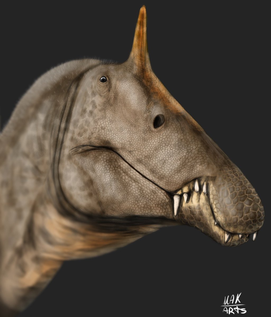 MakArts_'s tweet photo. Spinosaurus portrait!
#Paleoart #Spinosaurus #Spinosauridae https://t.co/da1bXo0MMk
