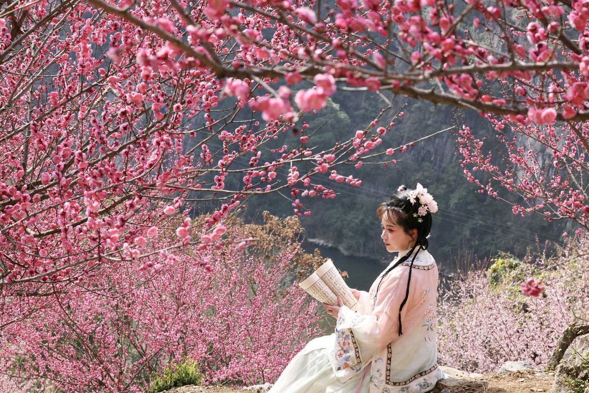 GorgeousYichang's tweet photo. 👣Now is the perfect time to stroll through the hills ⛰️of Xialaoxi. The spectacular pink blossoms 🌼are expected to last until the end of March.
#spring #Yichang #travelchina #plum #plumtrees https://t.co/o8f9ZgFaWJ