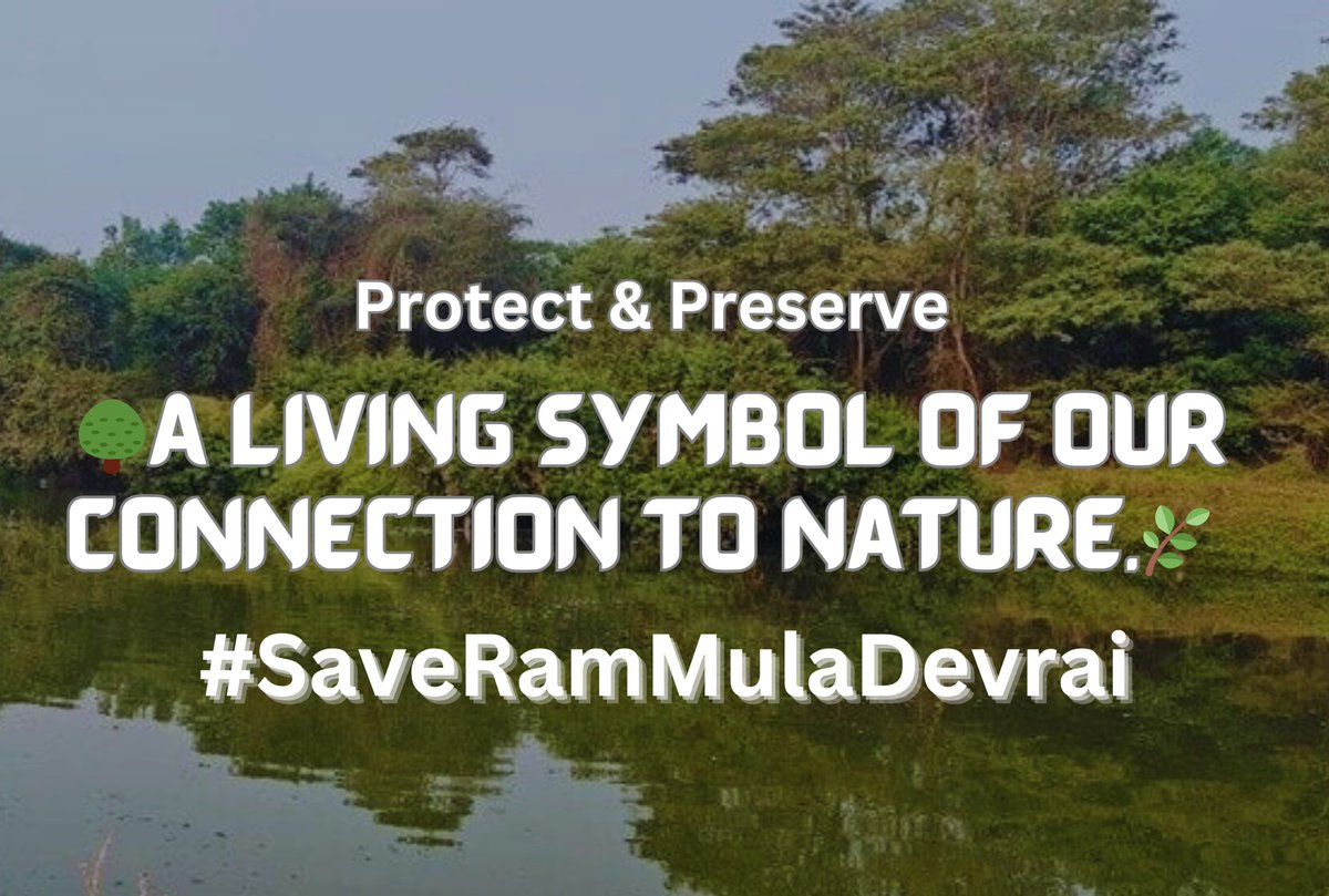 vandymini's tweet image. Declare🌳Ram Mula Devrai🌿, Baner #Pune as a &quot;Community Reserve&quot; in accordance with SC directive, Dec 2024 under Wild Life (Protection) Act, 1972 . Protect our Sacred Tree Grove. Stop Deforestation.@moefcc @MahaForest @ForestSurvey

#SaveRamMulaDevrai #ClimateActionNow…