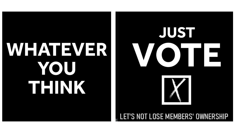 Harry Butler Daft 💚💛🏹🏏 tweet media