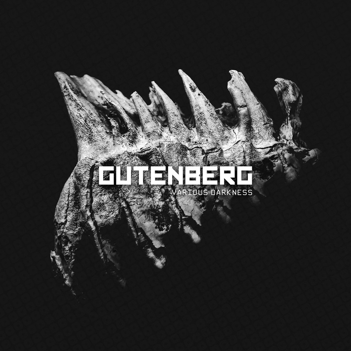 会長桜井 tweet media