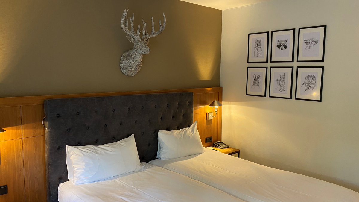 DutchFlyGuys tweet media