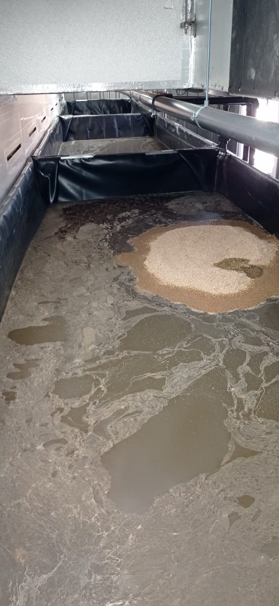 💧 El purín: de problema ambiental a oportunidad sostenible.

En #Insectpur, transformamos este subproducto porcino en biofertilizantes y otros materiales útiles para la agricultura. 🌱

🌍 Innovación que reduce residuos y cuida el planeta.
#GestiónDeResiduos #Bioeconomía