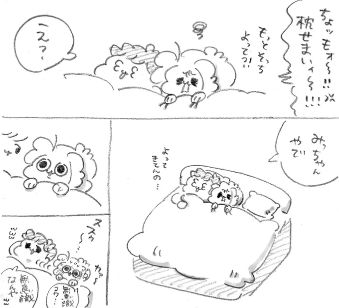 ( ◉ω◉ ) 