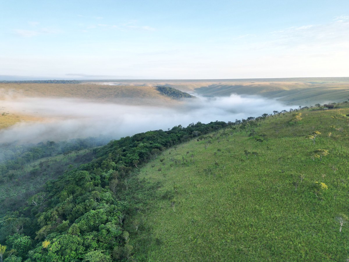 Il est impossible de visiter Bombo Lumene sans tomber amoureux de ses paysages magnifiques. Avec ses collines ondulantes, ses rivières immaculées et ses forêts luxuriantes, cet endroit offre une échappée paisible du tumulte de la vie quotidienne.