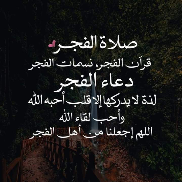 نجاة مختار (@18_0558) on Twitter photo 