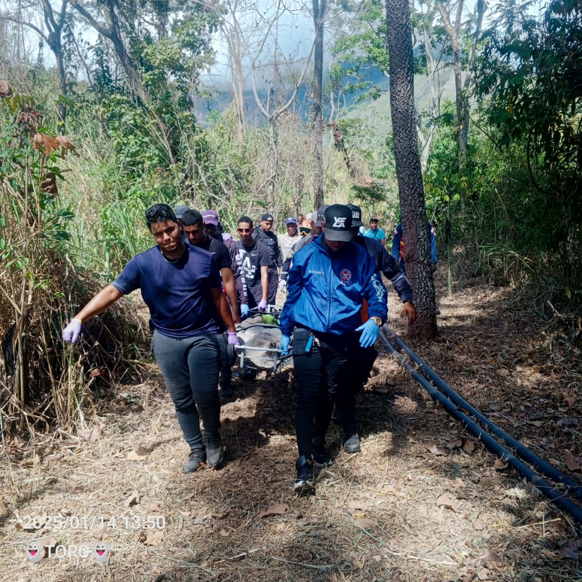Forestales_13's tweet photo. #Operaciones Recuperación de Cuerpo en la Planada de Corral de Piedra Sector Captación La Neverita PN Henri Pittier ⛰️ #MBI @droopy171 @PCivil_Ve @Zoedanaraguapc @vol_aragua @VoluntarioxVzla https://t.co/dINBNqts6c