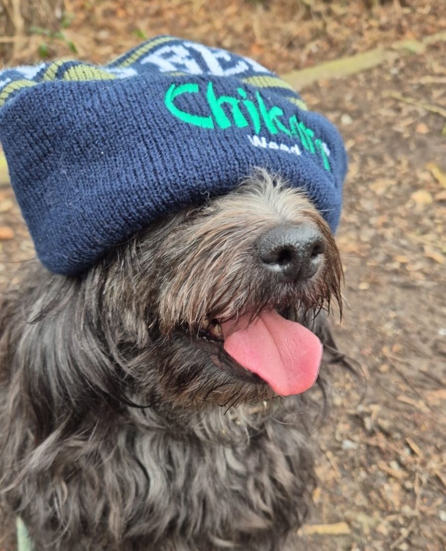 CB_Amenity_UK's tweet photo. Chikara's newest fan!! π©΅
One of the winners from your Christmas Competition looks as if our Chikara beanie hat has found a good home! #Chikara #ChristmasCompetition #Amenities https://t.co/uGF0cMOzax