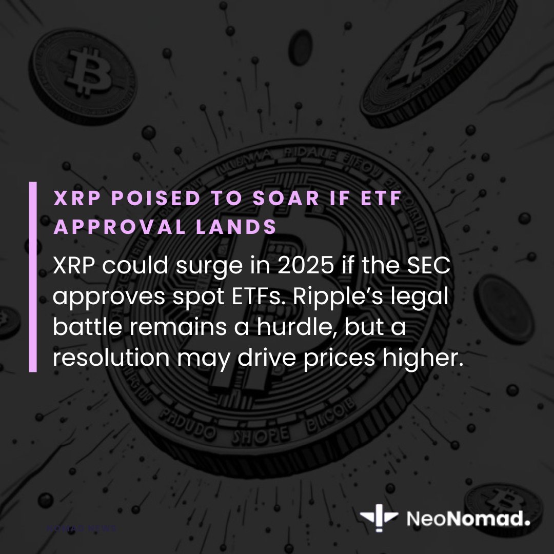 NeoNomad. tweet media