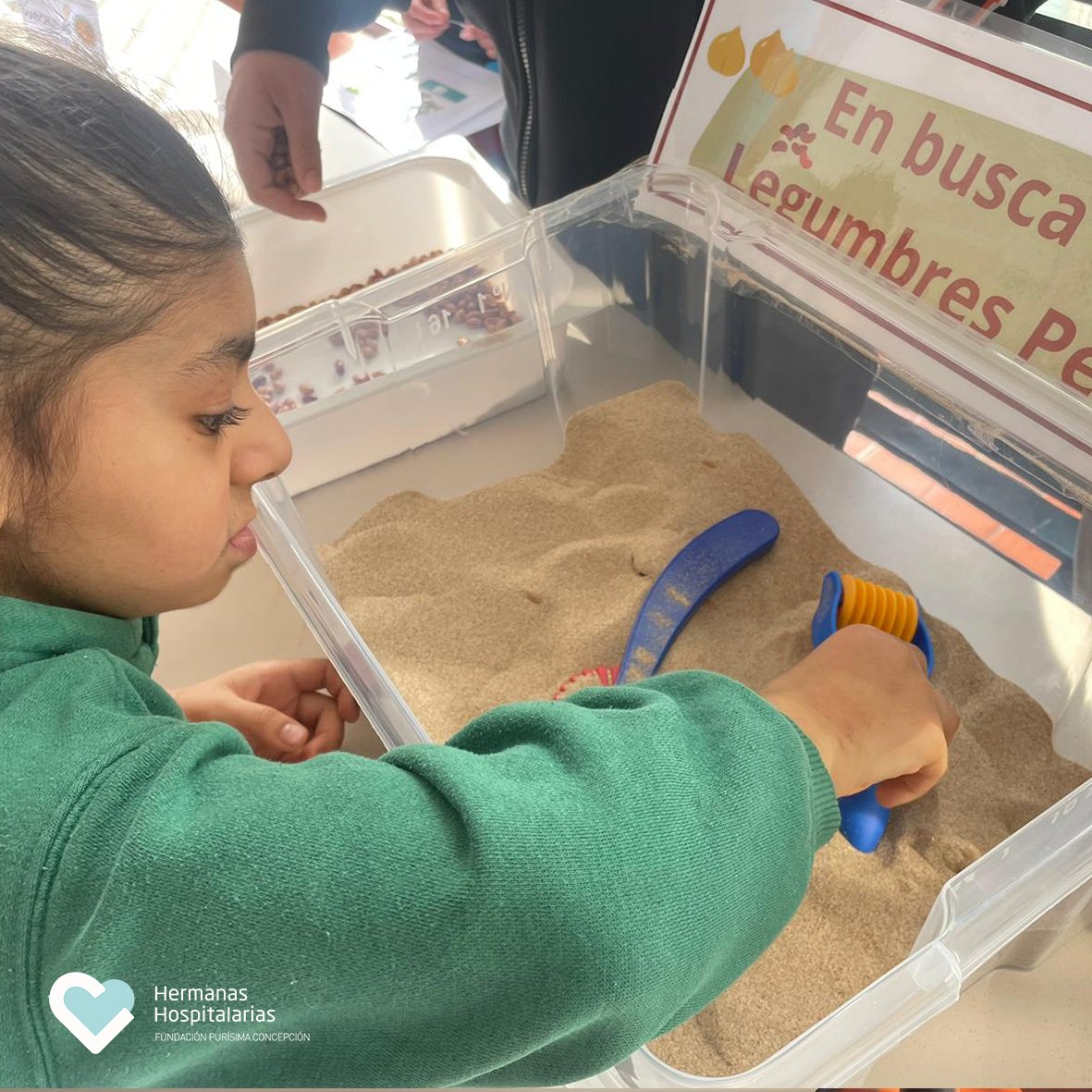 HospitalariasGr's tweet image. 🌱 ¡Hoy celebramos el #DíaMundialDeLasLegumbres!  Dentro de la línea de actuación de #HábitosDeVidaSaludable del #ProgramaCIMA de @EducaAnd 

GRATUITO  #BancoDeRecursos cuaderno de trabajo y vídeo 👉 fpurisimaconcepcion.org/banco-de-recur… 🌿💡  
#FundaciónPurísimaConcepción  #SomosHospitalarias