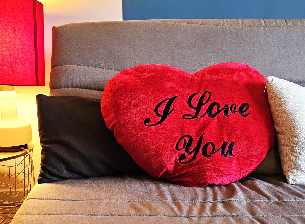 La #saintvalentin c'est vendredi 💘
Vous pouvez encore lui commander un coussin #coeur géant de 65 cm avec un big I Love You dessus 🎁✅ dispo ici super-insolite.com/cadeau/coussin… 
#stvalentin #cadeau #insolite