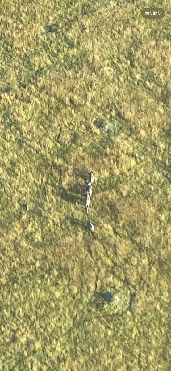 BIG5全て見られて満足です。