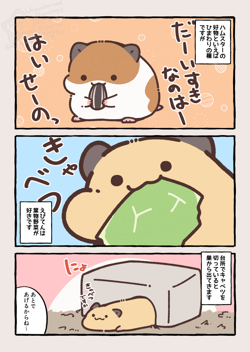 ハムスターの想像と現実
えびてんと好物 