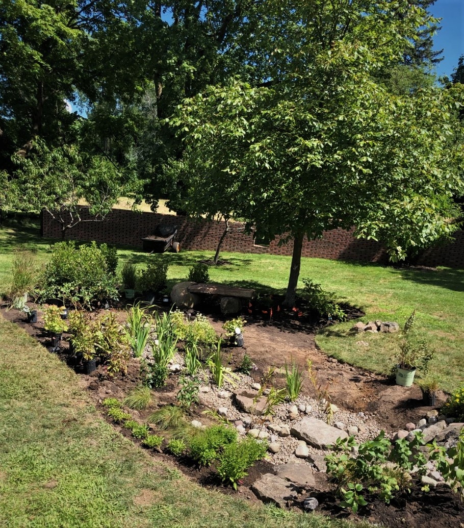 BroccoloLadyB tweet media