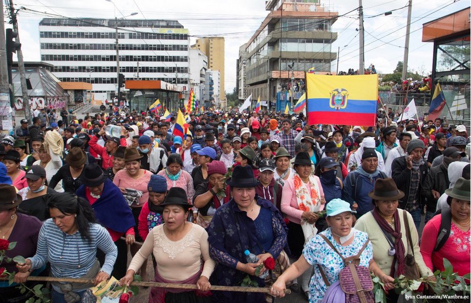 robert_isaacc's tweet photo. Yo estoy con la gente de estas provincias, las que tienen huevos y se paran a luchar por su país, no por los que nunca hacen nada (LA COSTA ECUATORIANA) y esperan todo hecho. https://t.co/IObEFRAvwh