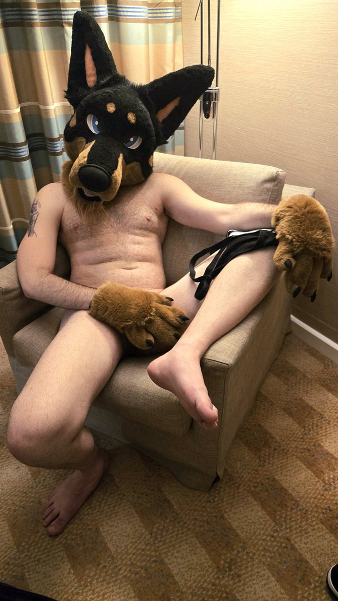 Jessy ⛓️🐾🎈 tweet media