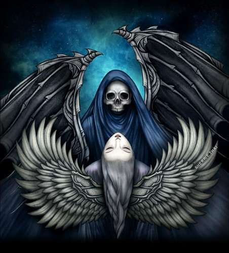 Bonnet Marcel (@bonnetmarcel3) on Twitter photo 