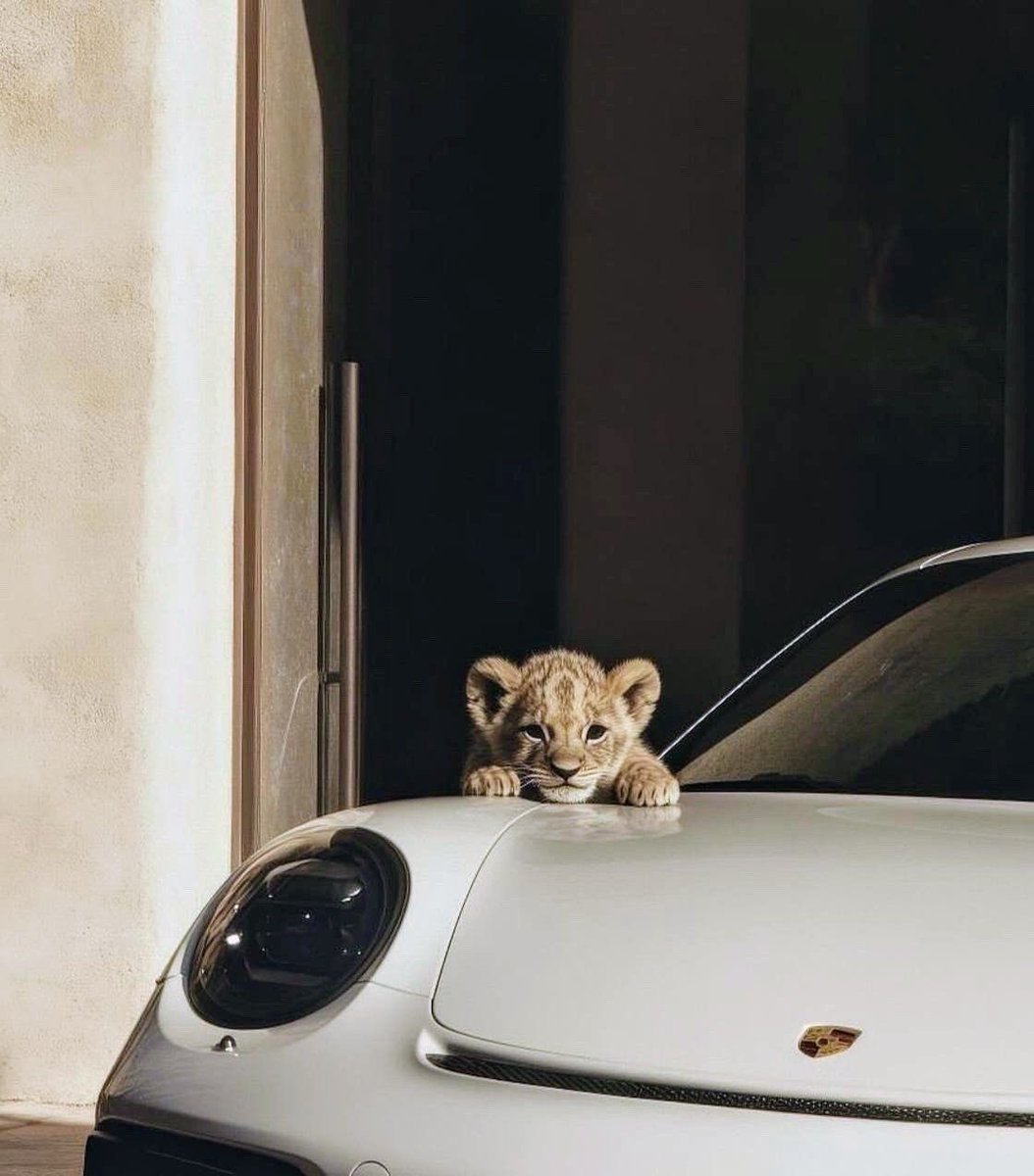 بحر 🌊 (@butterflless) on Twitter photo 