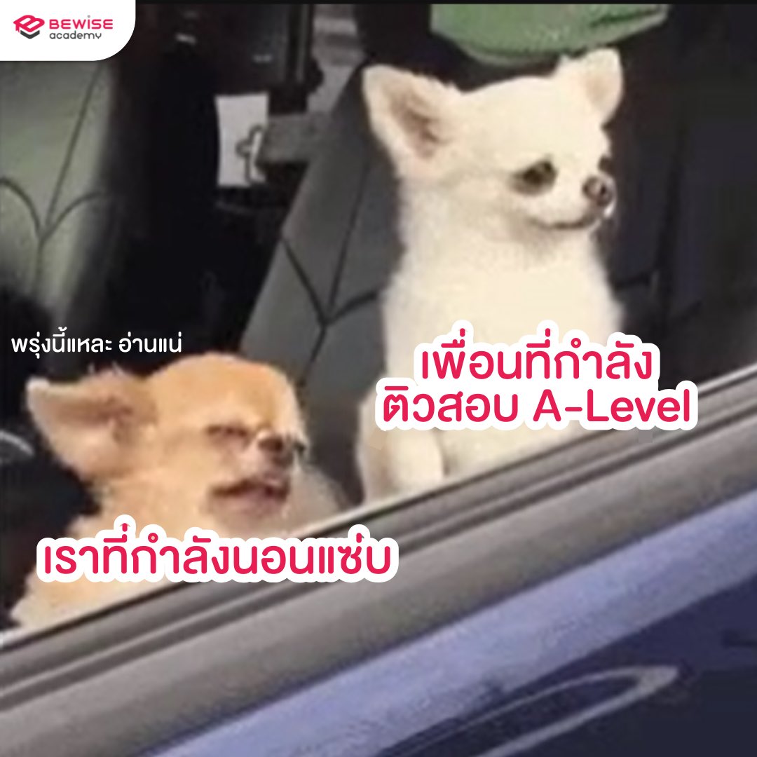 BewiseAcademy's tweet photo. นอนแซ่บแล้ววันนี้ พรุ่งนี้อย่าลืมอ่านหนังสือด้วยนะคะ ใกล้สอบแล้ว พี่ ๆ เป็นกำลังใจให้ทุกคนเลยค่ะ 🫶💖
.
.
#bewiseacademy #mytcas #TCAS69 #DEK69 #alevel #alevel68 https://t.co/NR9xwz068z