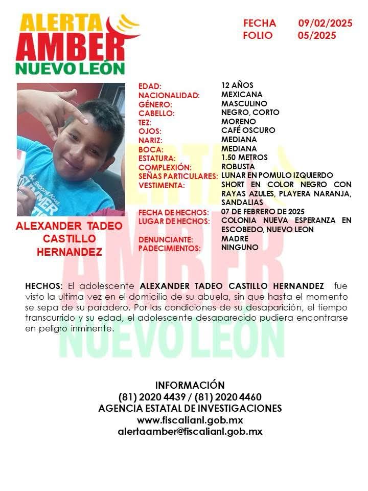 NuevoLeonAlerta's tweet photo. ACTIVACIÓN ALERTA AMBER NUEVO LEÓN

Solicitamos su colaboración para la LOCALIZACIÓN del menor ALEXANDER TADEO CASTILLO HERNANDEZ  de 12 años

Para cualquier información a los teléfonos (81) 20 20 57 00  Y (81) 20 20 44 11

@MtyFollow @nelvaldez @MauroMoralesMtz @josuebecerra https://t.co/nMRmATvgUW
